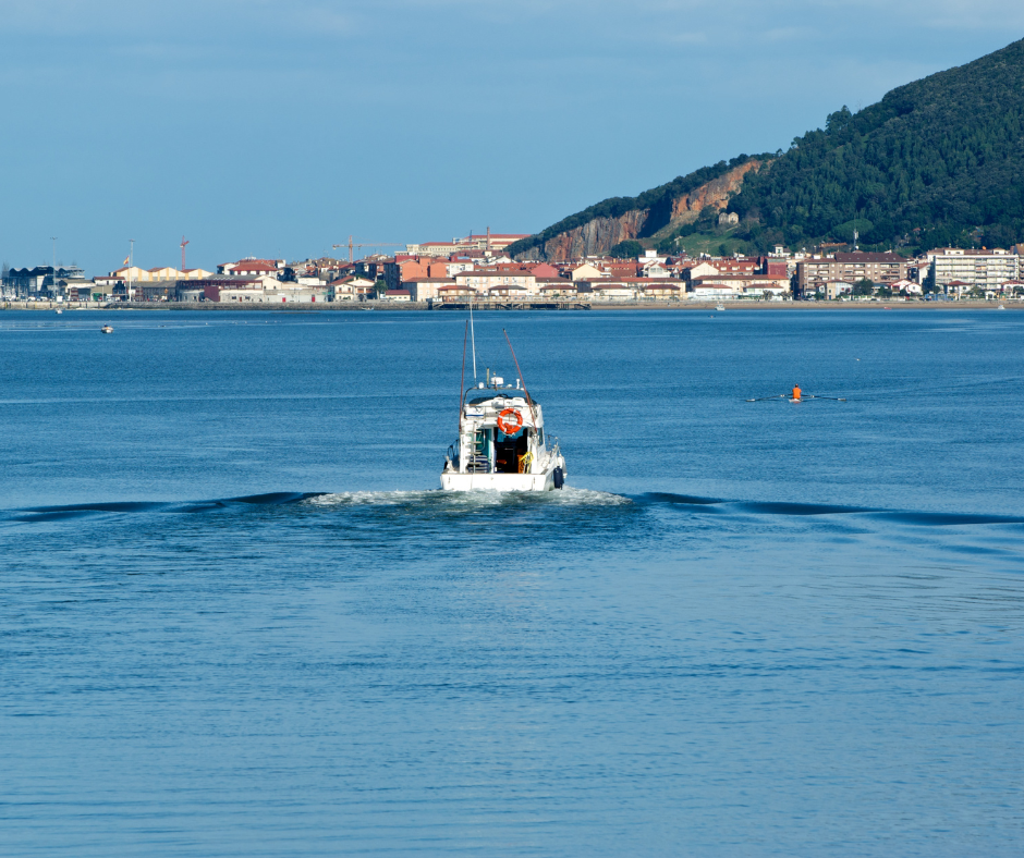 Bahia Santona Bahía de Santoña