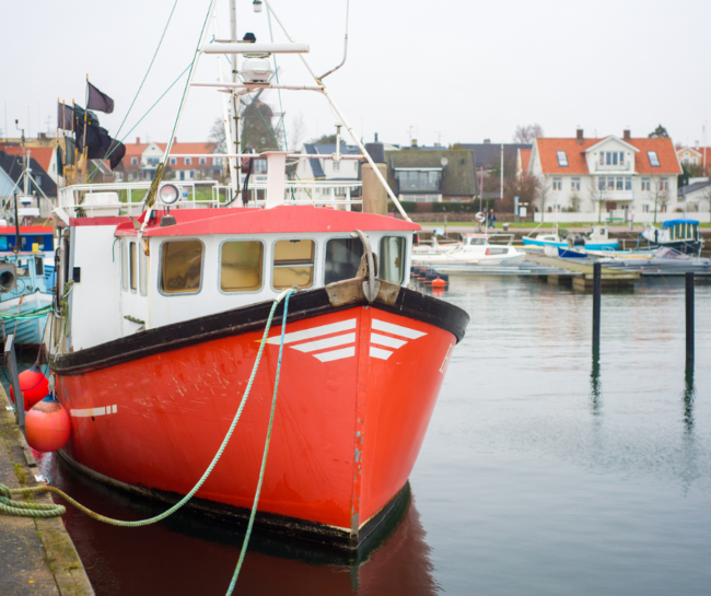 Impacto de la Pesca Sostenible en las Anchoas de Santoña