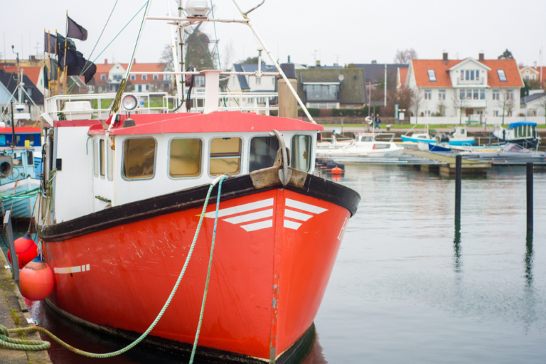 Impacto de la Pesca Sostenible en las Anchoas de Santoña