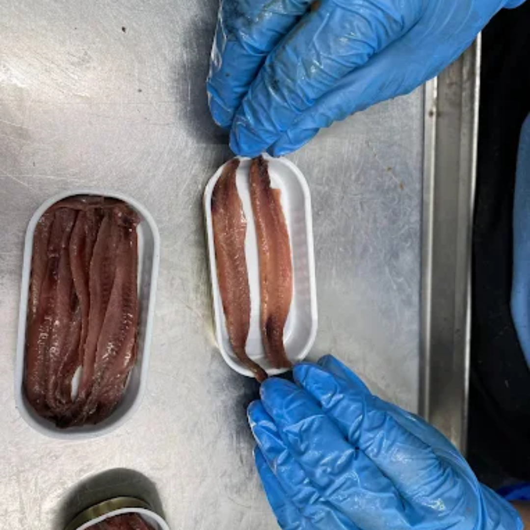 Limpiando anchoas Las Mejores Anchoas de Santoña